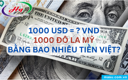  Tỷ giá Đô la Mỹ USD hôm nay 08112024 