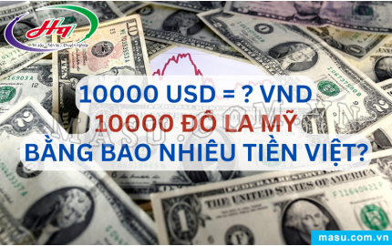  Tỷ giá Đô la Mỹ USD hôm nay 08112024 