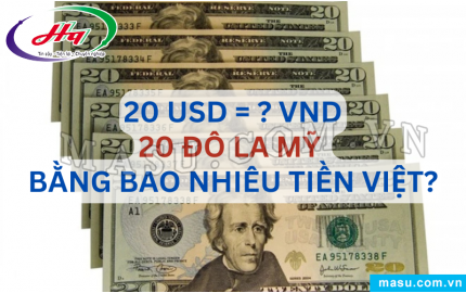  Tỷ giá Đô la Mỹ USD hôm nay 08112024 