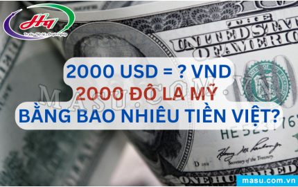  Tỷ giá Đô la Mỹ USD hôm nay 08112024 