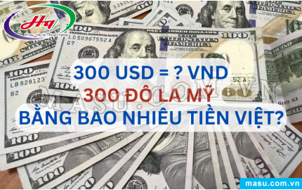  Tỷ giá Đô la Mỹ USD hôm nay 08112024 