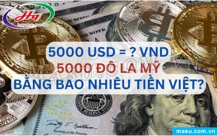  Tỷ giá Đô la Mỹ USD hôm nay 08112024 