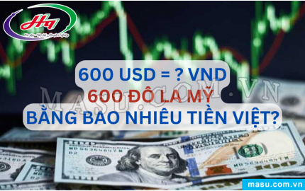  Tỷ giá Đô la Mỹ USD hôm nay 08112024 