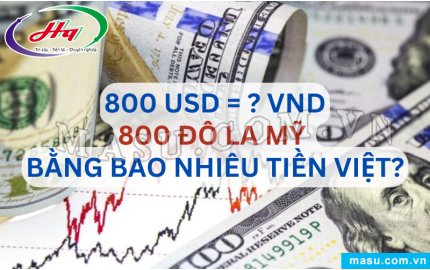  Tỷ giá Đô la Mỹ USD hôm nay 08112024 